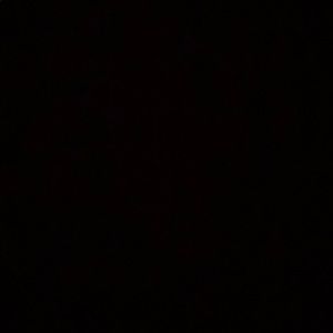 Meet your Posher, Fiona